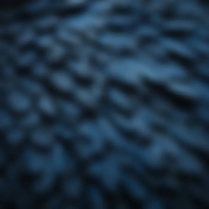 Intricate Patterns of Blue Feathers A close-up of blue feathers showcasing intricate patterns and textures