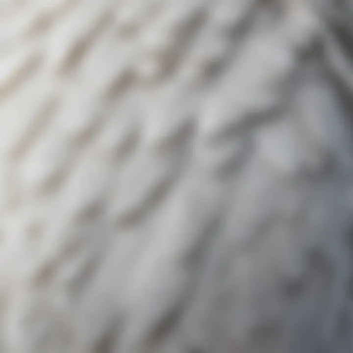 Close-up of snowy owl feathers showcasing their unique patterns