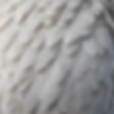 Intricate Patterns of Snowy Owl Feathers Close-up of snowy owl feathers showcasing their unique patterns