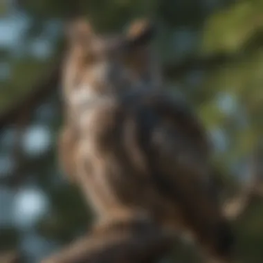 Great horned owl perched on a tree branch