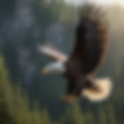 Stunning view of a bald eagle soaring above a forested landscape