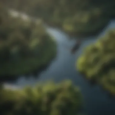 An aerial view of a river surrounded by lush greenery, a preferred habitat for bald eagles