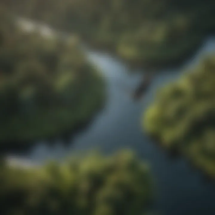 An aerial view of a river surrounded by lush greenery, a preferred habitat for bald eagles