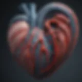 A detailed illustration of the blue whale's heart anatomy