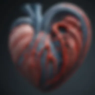 A detailed illustration of the blue whale's heart anatomy