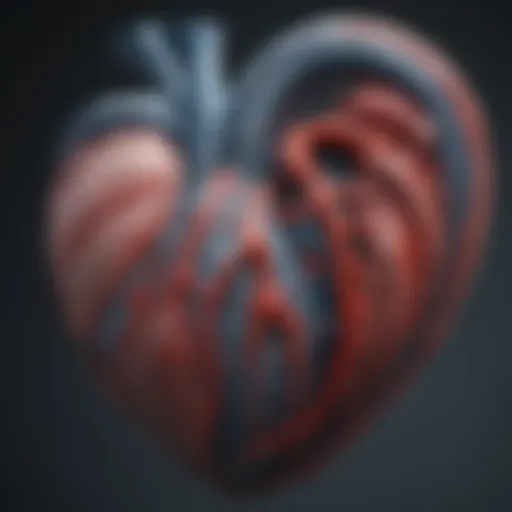 A detailed illustration of the blue whale's heart anatomy