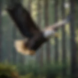 Bald eagle soaring above a pristine forest