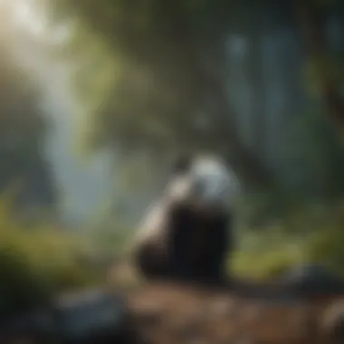 The Natural Landscape of Panda Habitats A serene landscape showcasing the panda's habitat