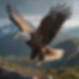 A majestic eagle soaring high above a serene landscape
