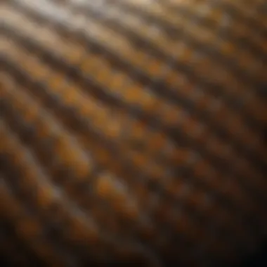 Intricate Patterns of Python Scales Close-up of a python's scales showcasing intricate patterns