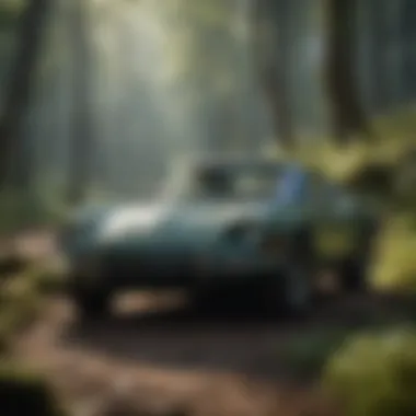 Enchanted Forest Exploration