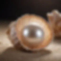 An exquisite close-up of a pearl nestled within its shell, highlighting its natural beauty.