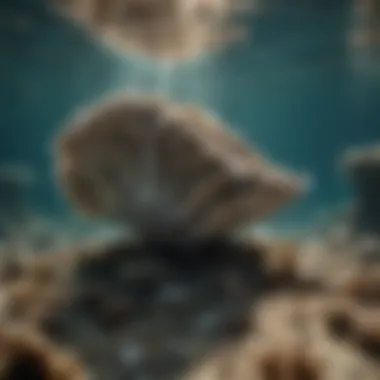 A serene underwater scene depicting oyster beds, emphasizing the environmental aspect of pearl formation.