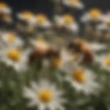 A close-up view of honey bees pollinating flowers