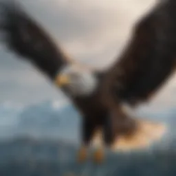 Bald Eagle soaring majestically in the sky
