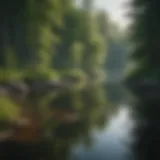 A serene view of one of Minnesota's pristine lakes surrounded by lush greenery.
