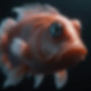 The Illuminescent Deep-Sea Wonder An unusual deep-sea fish with bioluminescent features illuminating the darkness.