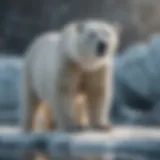 A polar bear navigating its icy habitat, showcasing its adaptation to the cold environment.