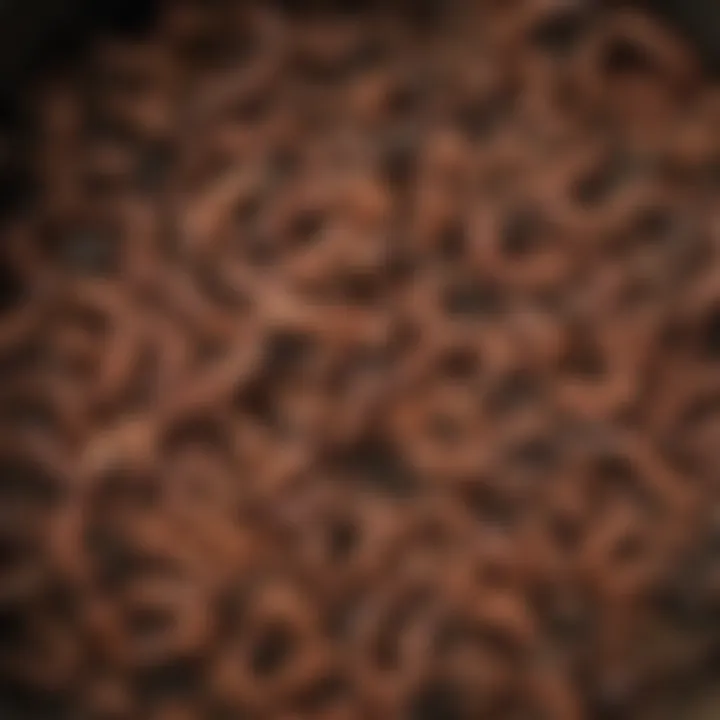 Illustration of thriving worm community in a compost bin