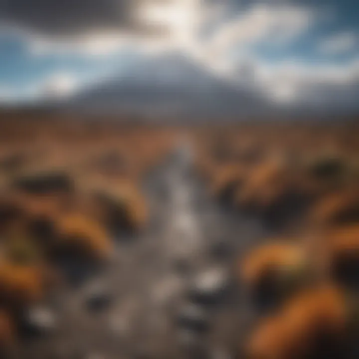 Hiking trail in Tongariro National Park