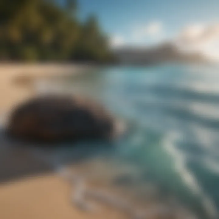 Turquoise Waters of Hawaiian Beach