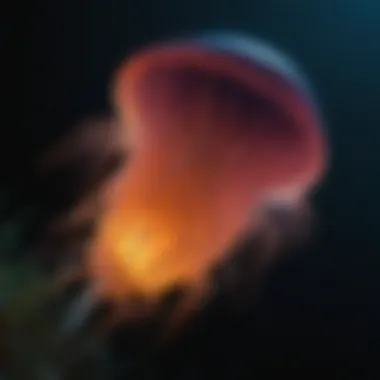 A close-up of a bioluminescent organism glowing in the dark ocean depths