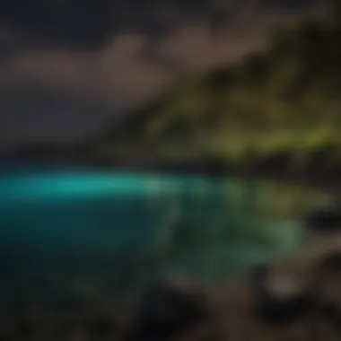 A serene view of a bioluminescent bay at night, illuminating the water.