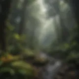 Lush tropical rainforest in El Yunque National Forest showcasing diverse flora.