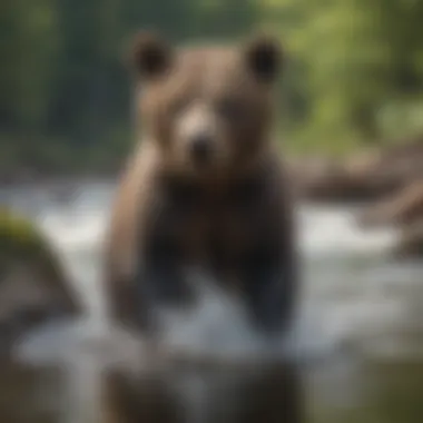 A young bear cub playing in a river, emphasizing the importance of conservation.