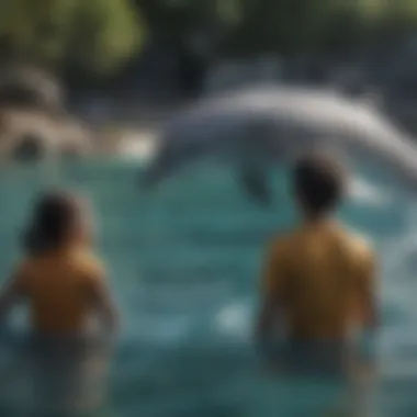 Children observing bottlenose dolphins in a marine conservation setting