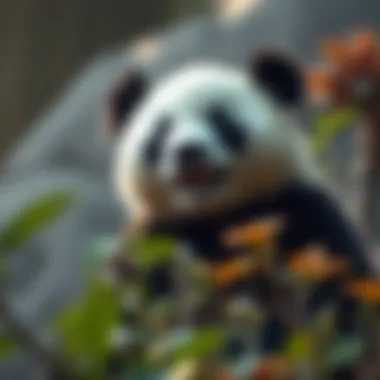 The Gentle Panda: A Spirit of Harmony A serene panda symbolizing peace and harmony within nature