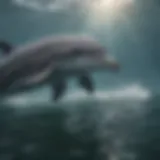 Hunting Techniques of Bottlenose Dolphins A bottlenose dolphin hunting in shallow waters