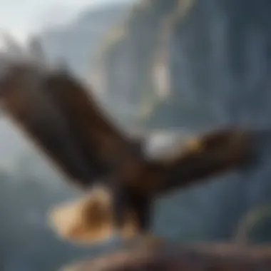 Majestic Eagle Soaring A majestic eagle soaring high in the sky