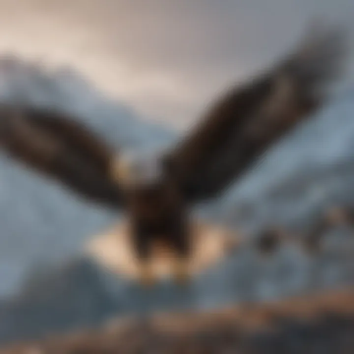 Group of eagles flying together during migration