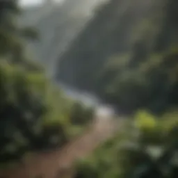 Aerial view of Costa Rica showcasing its diverse landscapes