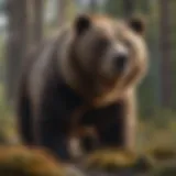 A Grizzly bear in its natural habitat, showcasing its powerful stature and unique fur pattern.