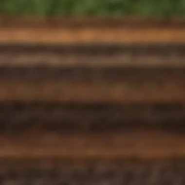 Cross-section of soil layers showcasing the filtration capabilities in ecosystems