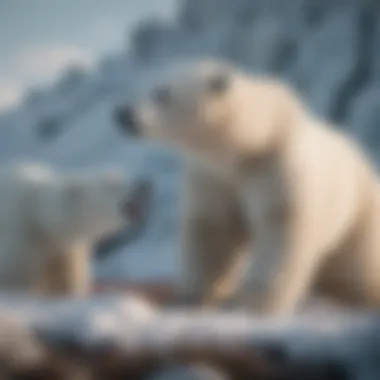 Polar Bear Interactions Within the Arctic Ecosystem A polar bear interacting with its ecosystem