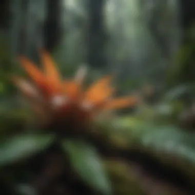 Close-up of diverse plant species in the rainforest