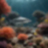 A vibrant coral reef teeming with marine life, showcasing the intricate ecosystem that supports shark habitats.