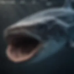 Whale shark showcasing its distinctive patterns