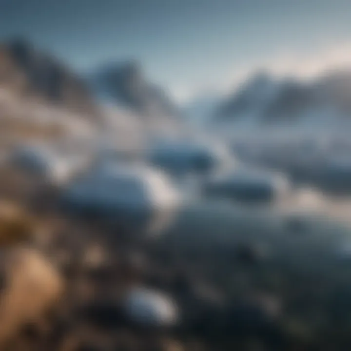 Impact of climate change on Greenland's coastal areas