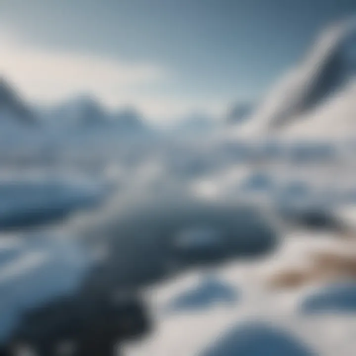Seasonal changes in Greenland's landscape