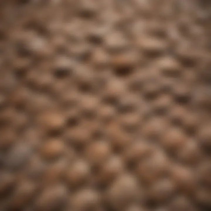 Close-up of pangolin scales