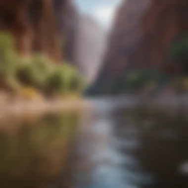 A scenic view of the Colorado River flowing through the canyon