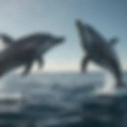 Bottlenose dolphins swimming in their natural habitat