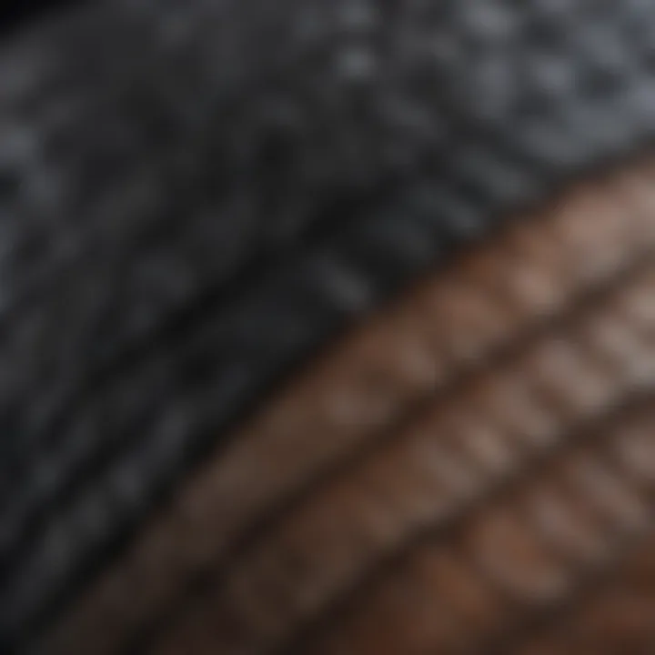 Close-up of leatherback turtle shell