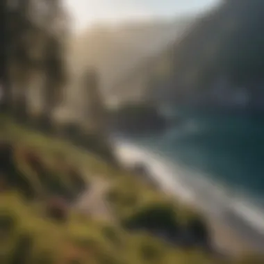Scenic view of a coastal landscape significant to Pacific Northwest tribes