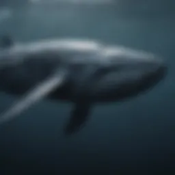 A blue whale swimming gracefully through the ocean depths