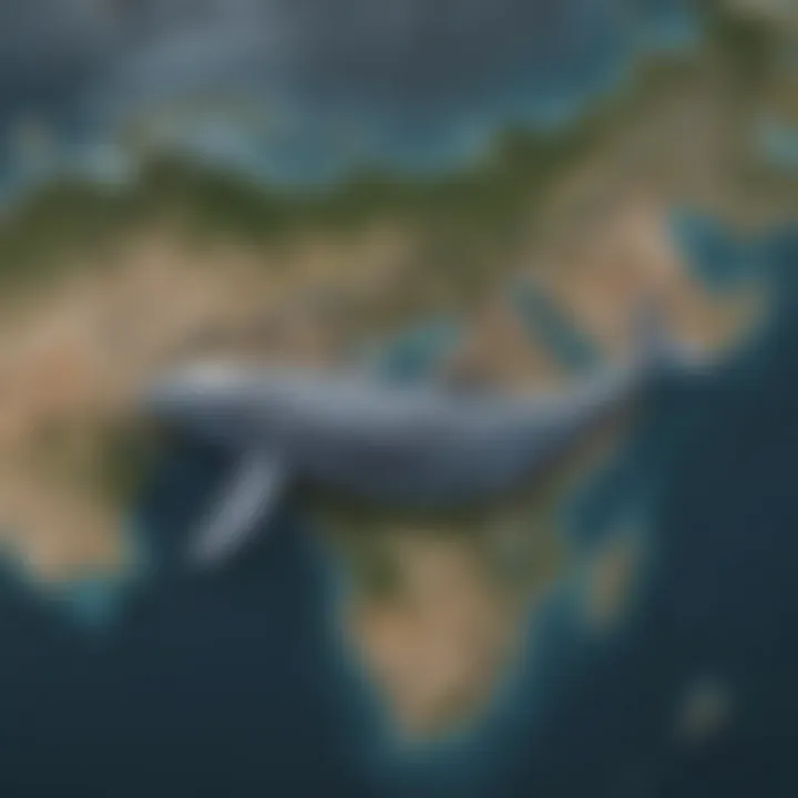 Map showcasing the migratory routes of blue whales across the globe